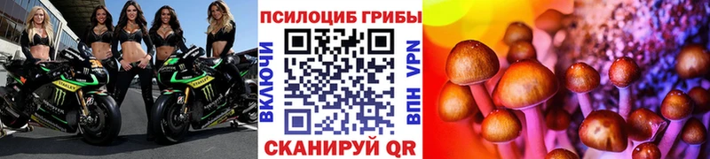 где продают   Южно-Сухокумск  Псилоцибиновые грибы ЛСД 